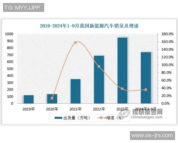 八一双鹿电池在国际市场的崛起与美国竞争的全景分析 八一双鹿电池在国际市场的崛起与美国竞争的全景分析